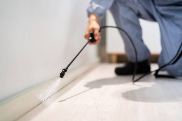 Licensed Pest Control service in Salem, OR - Show Me Pest Control